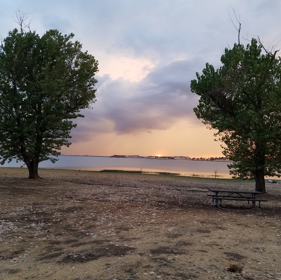 Meet your Posher, Tami - Picture 1 of 1